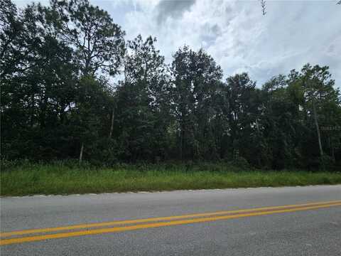 9830 NE 65TH LANE, BRONSON, FL 32621