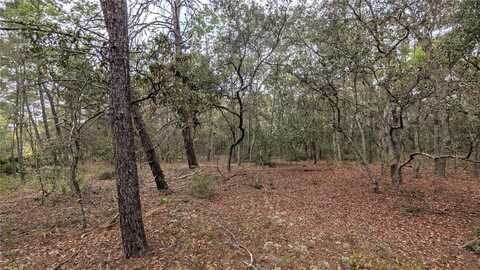 120 & 122 NORTH CAROLINA DRIVE, SATSUMA, FL 32189