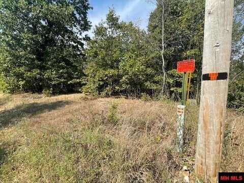 001-04716-000#1 BLUEBERRY LANE, Yellville, AR 72687