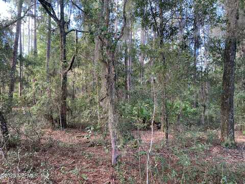 127 SOUTH Drive, Florahome, FL 32140