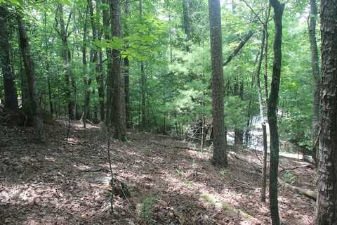 Lt 2628 Garnet Drive, Ellijay, GA 30540