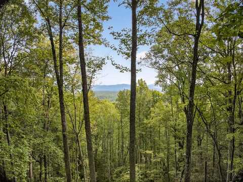 Hayden Lane, Murphy, NC 28906