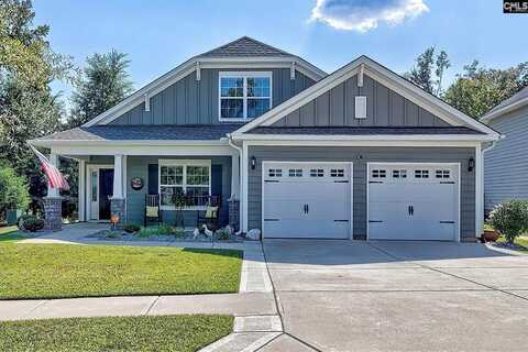 705 Ruskin, Chapin, SC 29036