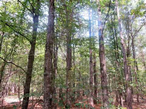 00 Clyde Place Vivian Rd, Vivian, LA 71082