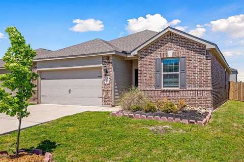217 Curt Street, Anna, TX 75409
