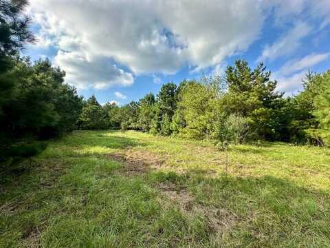444 Cahaba Rd., Greenville, AL 36037