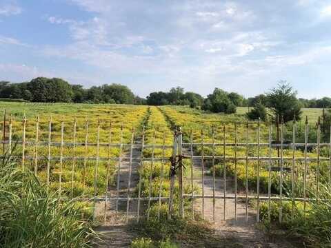 0 Rock Creek Road, Coleman, OK 73432