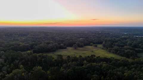 TBD Newman Rd, Edwards, MS 39066