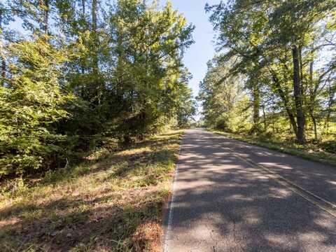 TBD Newman Rd, Edwards, MS 39066