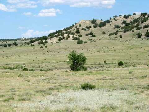 Par 38 Salt Creek Rd, Pueblo, CO 81004