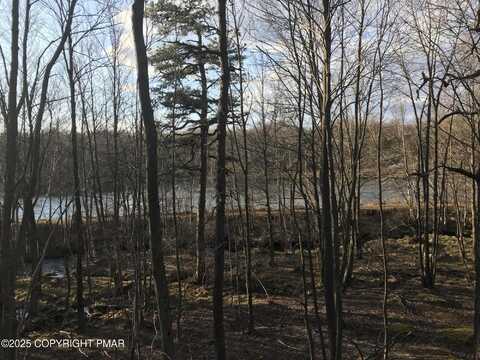 Lot 119 Mountain Rd, Albrightsville, PA 18210