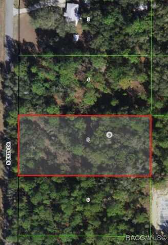 8545 N Erin Drive, Crystal River, FL 34428