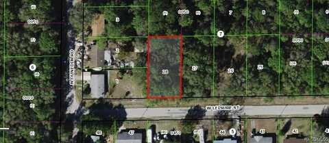 7687 W Leisure Street, Dunnellon, FL 34433