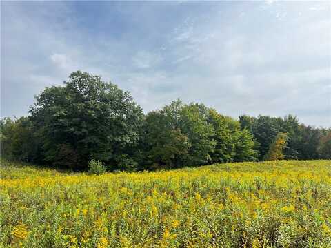 Old 14 Rd, Weyerhaeuser, WI 54895