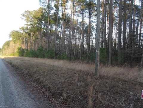 42 AC Strawberry Plaines, Ivor, VA 23866