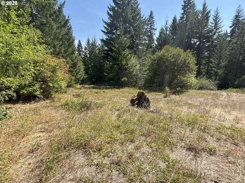 Canyon RD, Lyle, WA 98635