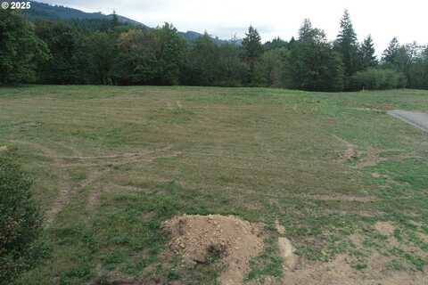 286 Wilkinson RD, Ariel, WA 98603