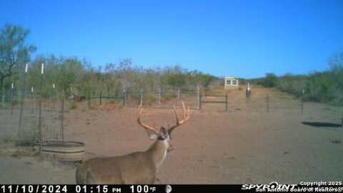 Tr 123 Triple T-Bar-L Rch, Freer, TX 78341
