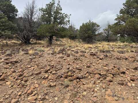 9-2 Lot 202 Mountain Wood, Weed, CA 96094