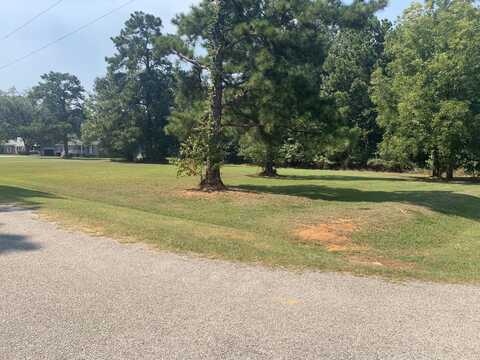 Tom Charles Road, Summerton, SC 29148