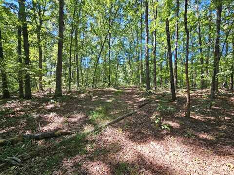 S James River Hwy, Buckingham, VA 23921