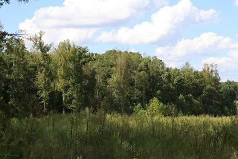 George Washington Hwy, Keysville, VA 23947