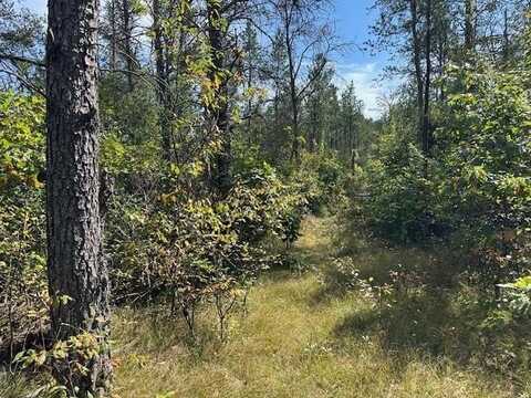 36.34 Ac Retirement Lane, Necedah, WI 54646