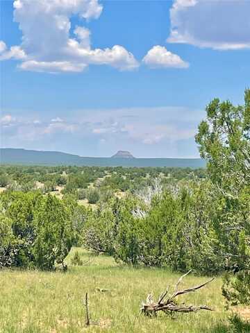 County Rd B29a, Villanueva, NM 87583