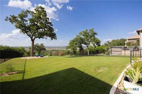737 Faith Drive, Liberty Hill, TX 78642