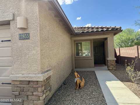 12855 N Ong Drive, Marana, AZ 85653