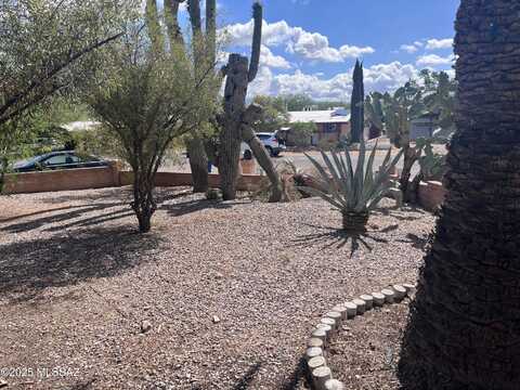 4039 N Park Avenue, Tucson, AZ 85719