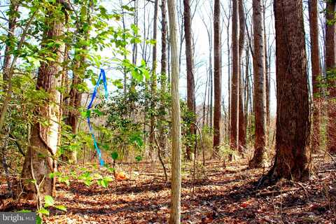 SCOTT CIRCLE, MECHANICSVILLE, MD 20659