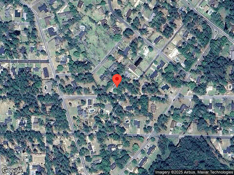 Camellia, WAYCROSS, GA 31501