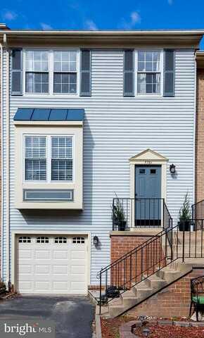 Asterella, SPRINGFIELD, VA 22152