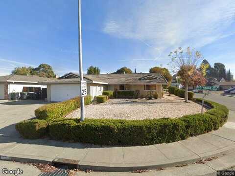 Marigold, FAIRFIELD, CA 94533