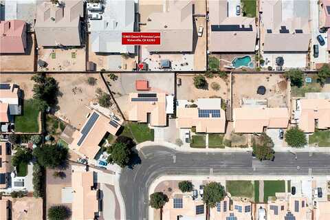 Desert Primrose, VICTORVILLE, CA 92392