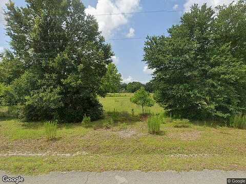Persimmon, SOPCHOPPY, FL 32358