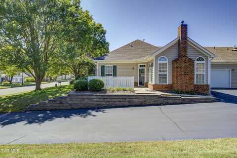 231 Avonlea Place, Johnson City, TN 37604