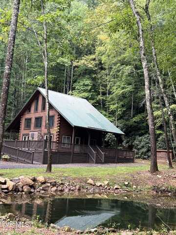 268 A Moreland Drive, Butler, TN 37640