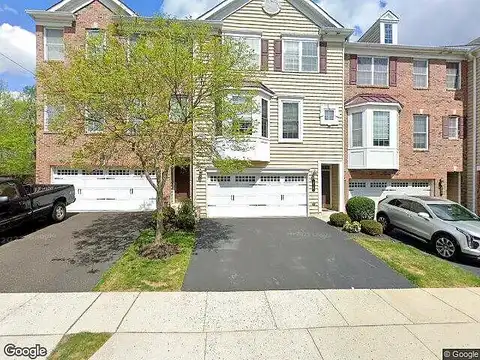 Ebony, AMBLER, PA 19002