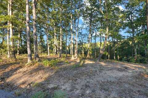 1 Hwy 232, STEWART, TN 37175