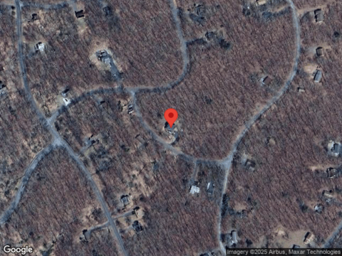 Owl, BUSHKILL, PA 18324