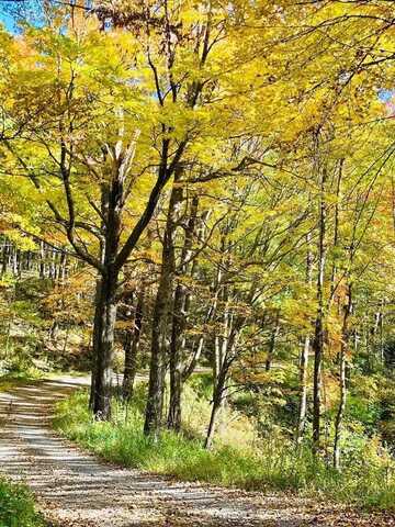 tbd Greenwood, Newport, TN 37821