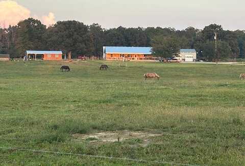 undefined, Deer Lodge, TN 37726