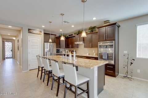 Ficus, GILBERT, AZ 85298