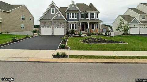 Hollyhock, MANCHESTER, PA 17345