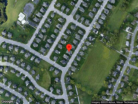 Hollyhock, MANCHESTER, PA 17345