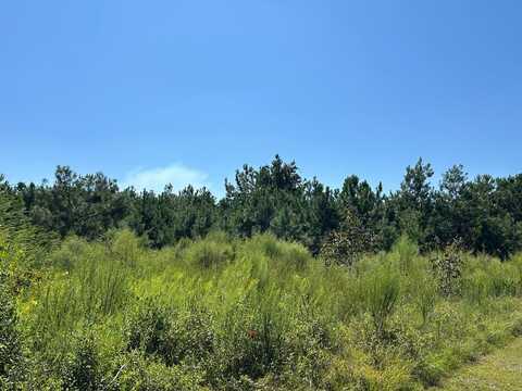 TBD Butler Lane, Valdosta, GA 31606