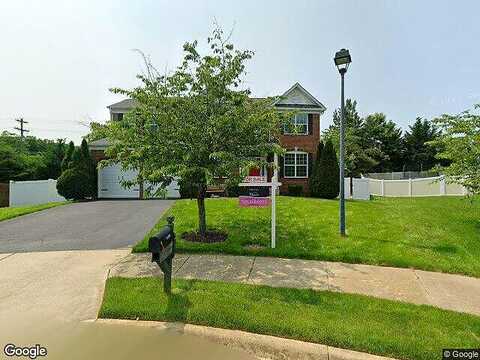 Spotted Turtle, WOODBRIDGE, VA 22193