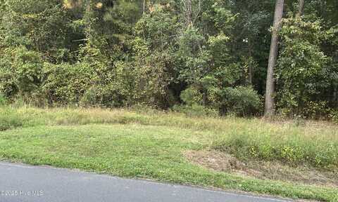 0000 Octavia Drive, Rocky Mount, NC 27804
